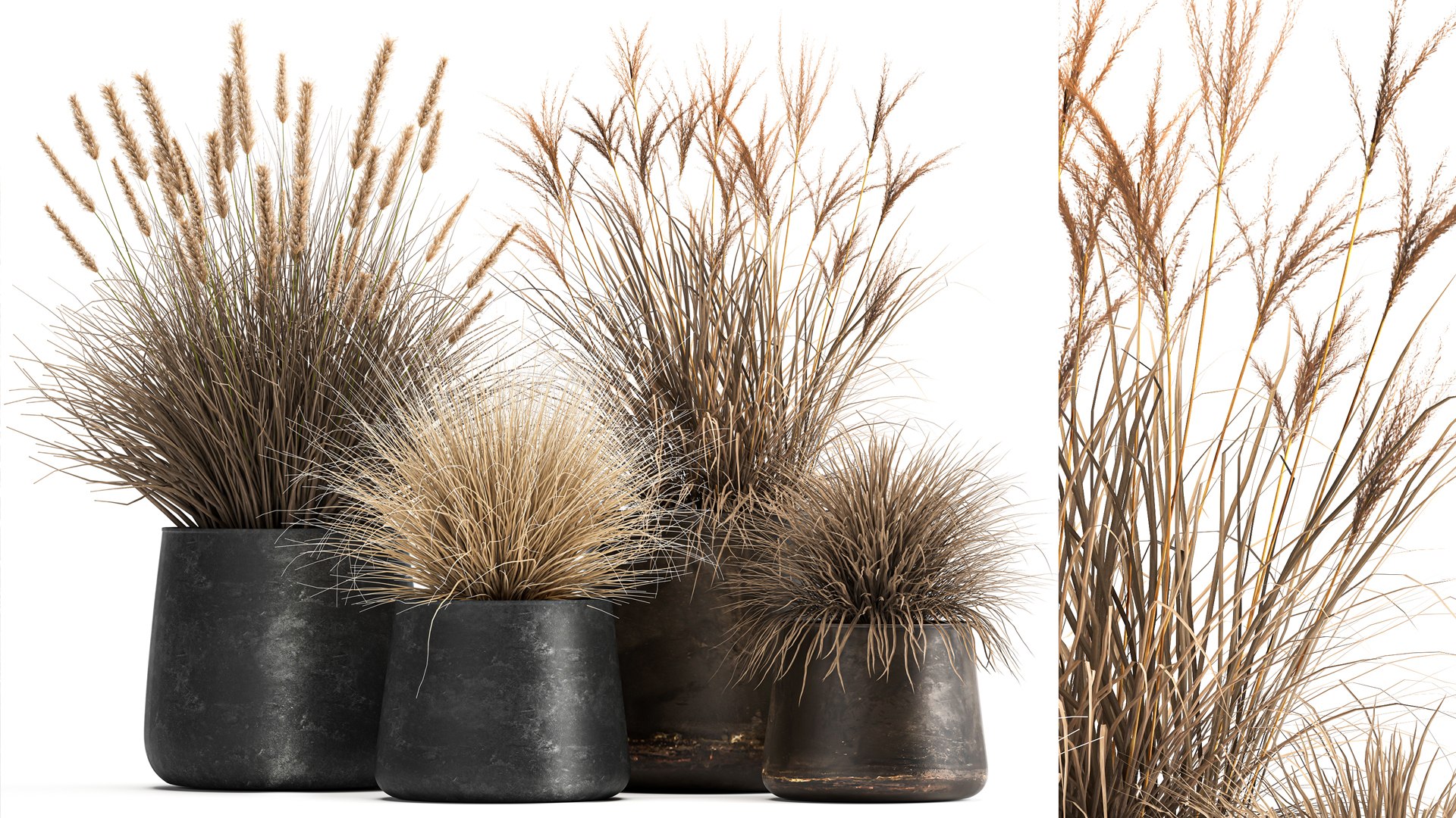 3D Dried Reeds In A Rusty Flowerpot For The Interior 1058 Model ...