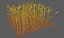 Weizenfeld 3D