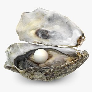 Oyster with Pearl