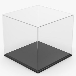 Display Case Box
