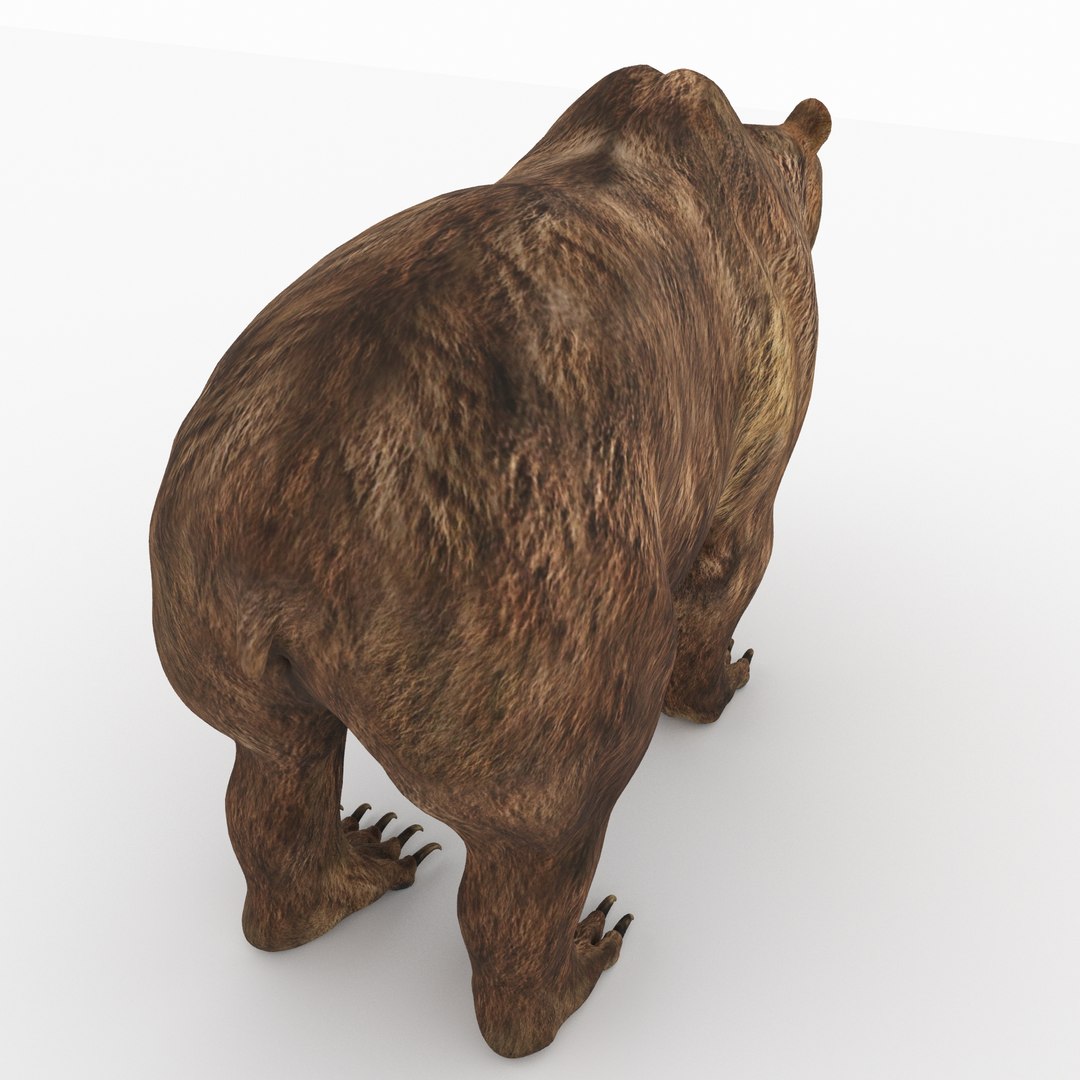 animal beast mammal 3D model https://p.turbosquid.com/ts-thumb/Mo/Kt58C9/PnjaoFDB/baer14/jpg/1568315082/1920x1080/fit_q87/7795e754da3bf02ced0a00f3f5d8722ab65e0f54/baer14.jpg