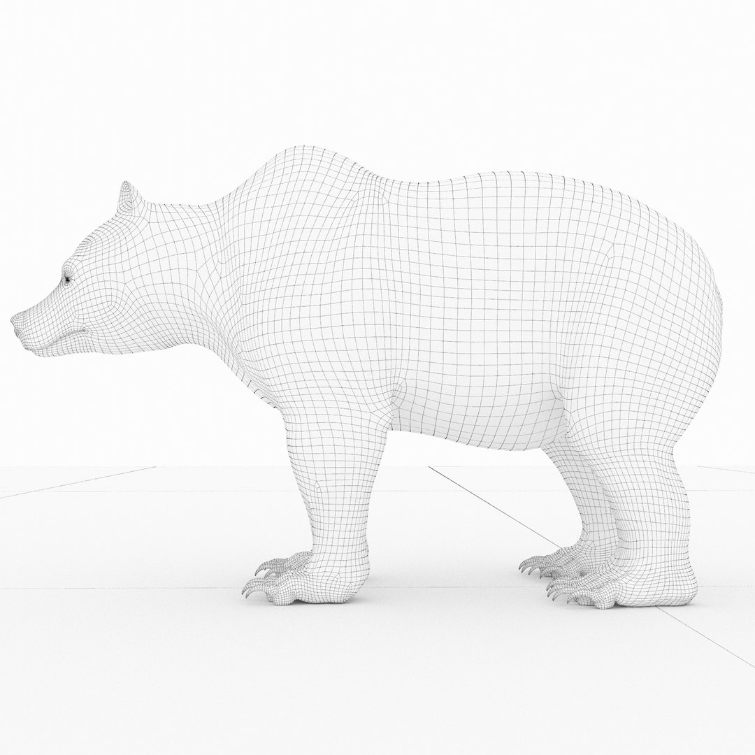 animal beast mammal 3D model https://p.turbosquid.com/ts-thumb/Mo/Kt58C9/V6EXQdY5/baer18/jpg/1568315082/1920x1080/fit_q87/65a3b4995dada1c790cc0182e48387dfb63ca581/baer18.jpg