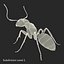 insects beetle ant honey bee 3ds