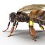 insects beetle ant honey bee 3ds