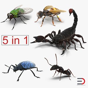 Insects 3D Models Collection