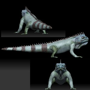3D Iguana Lizard