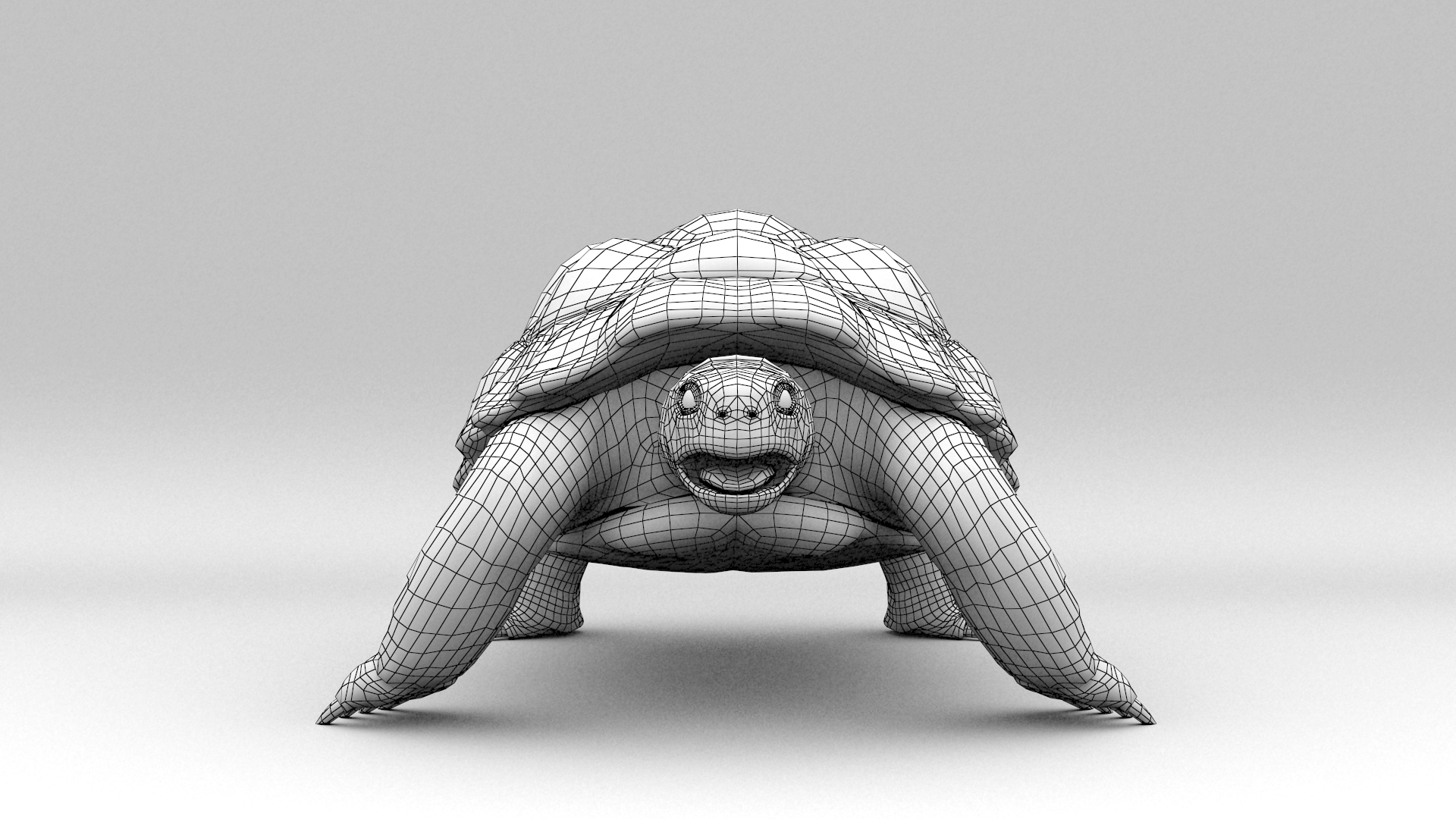 3d Greek Turtle