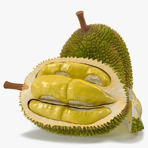Tropical Food Durian Fruit Whole with Cut Section