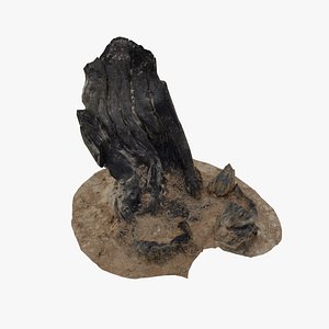 3D Dry Tree Stump 01 - Scan model