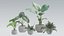 Pacote de Plantas 01