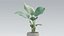 Pacote de Plantas 01
