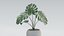 Pacote de Plantas 01