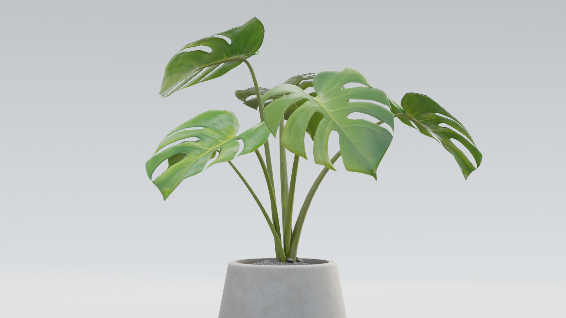 3D plant pack https://p.turbosquid.com/ts-thumb/Mo/uLA1E4/Cn/0010/png/1614079843/1920x1080/fit_q87/2d2e69e60860e5d760543418836ed38637146359/0010.jpg