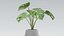 Pacote de Plantas 01