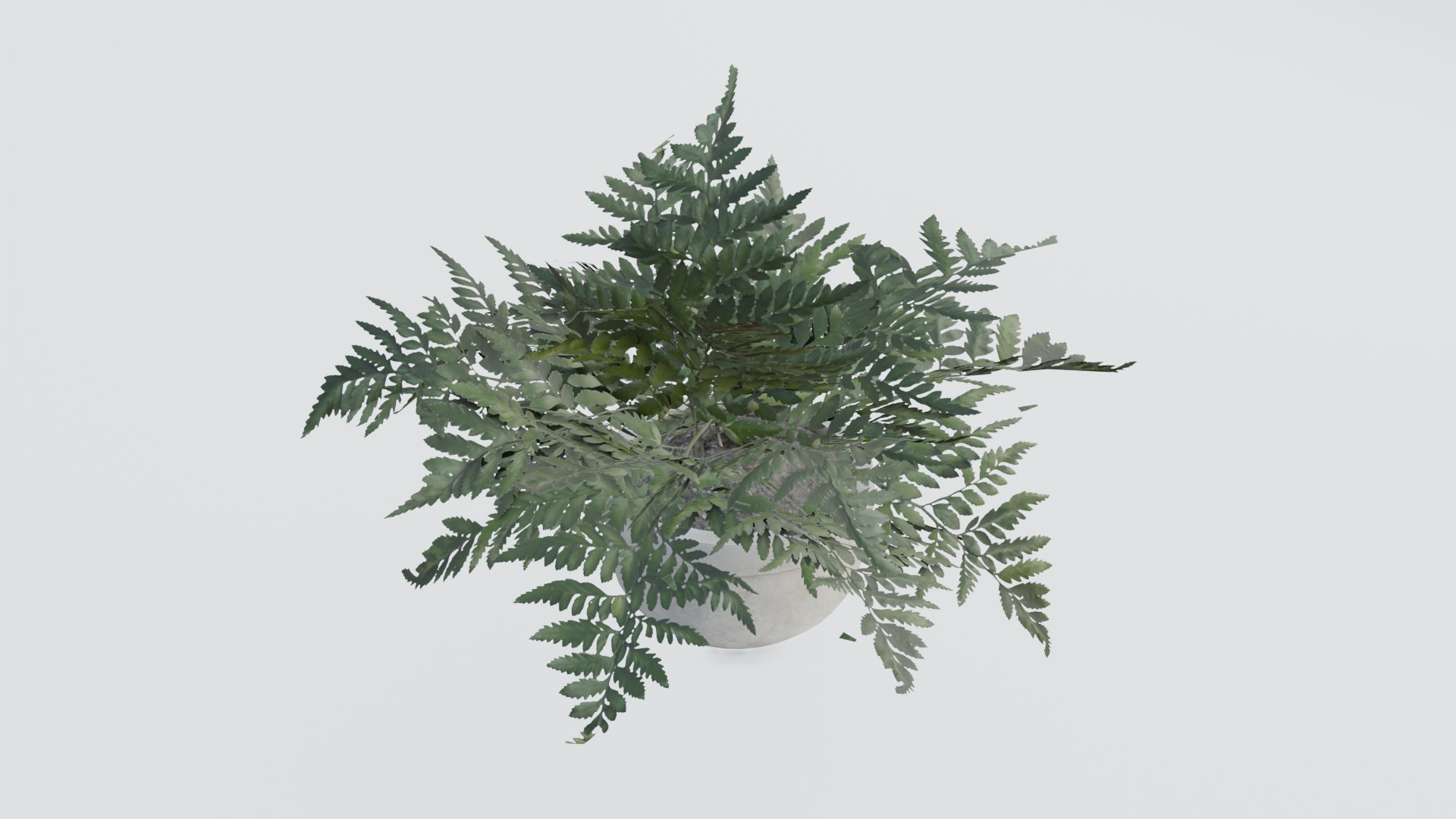 3D plant pack https://p.turbosquid.com/ts-thumb/Mo/uLA1E4/I4/0005/png/1614079825/1920x1080/fit_q87/3bf4a98fbb799fc46aa12e200defbc2c869fc82e/0005.jpg