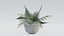 Pacote de Plantas 01