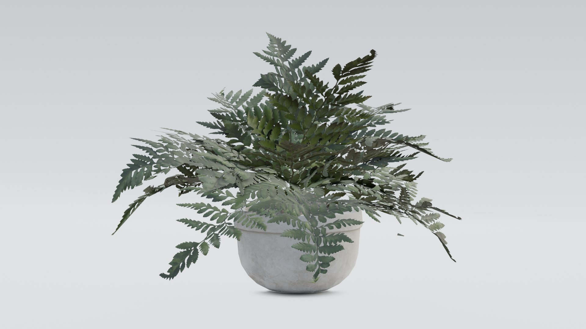 3D plant pack https://p.turbosquid.com/ts-thumb/Mo/uLA1E4/N0/0006/png/1614079848/1920x1080/fit_q87/c6a37c6410058f8543f919c4c5eff08842bcd20f/0006.jpg