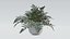 Pacote de Plantas 01