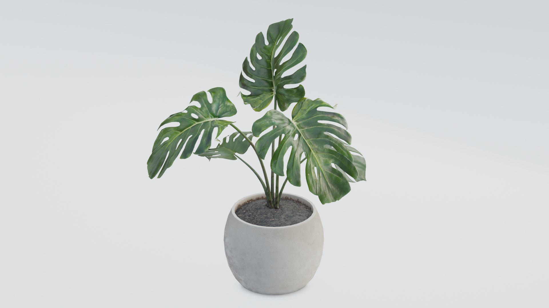 3D plant pack https://p.turbosquid.com/ts-thumb/Mo/uLA1E4/Zf/0007/png/1614079817/1920x1080/fit_q87/0974fddbe1093beee9a1d0f63eec32cc1a509d42/0007.jpg