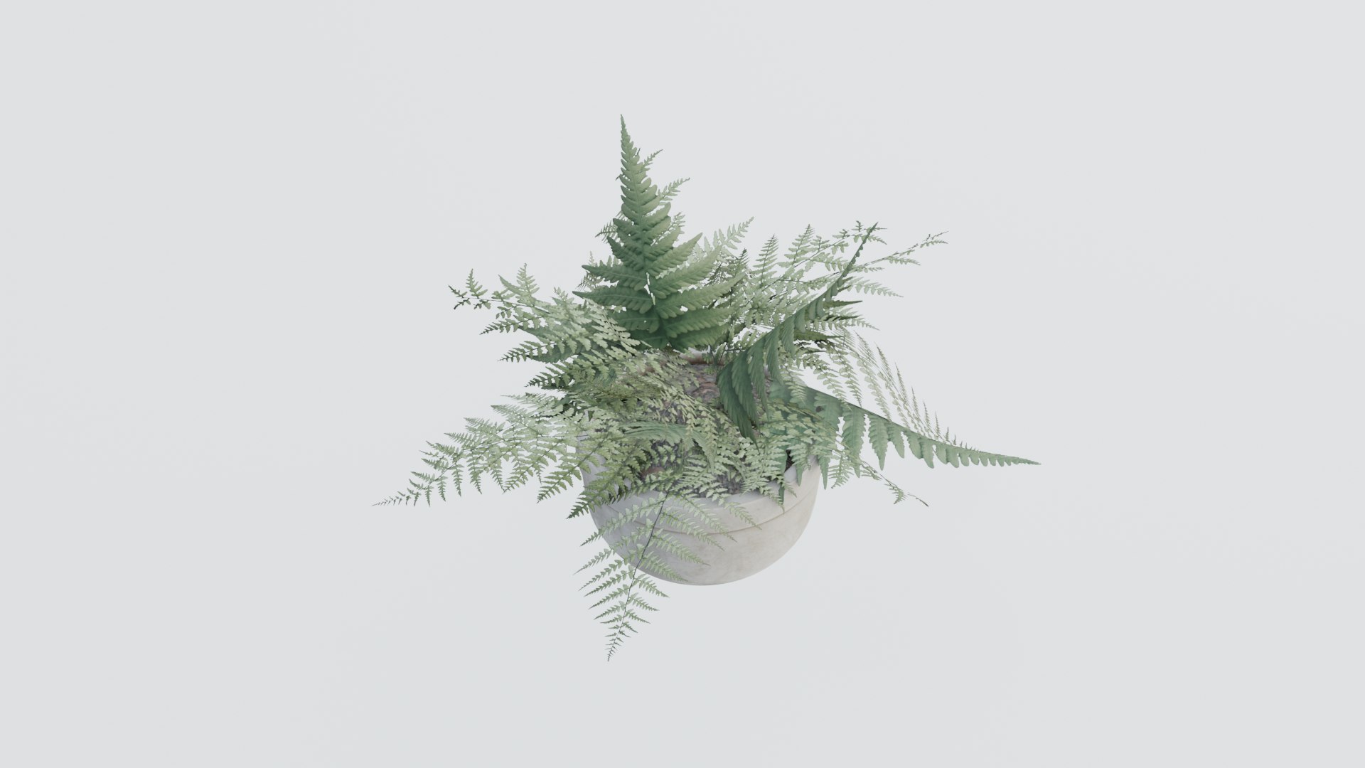 3D plant pack https://p.turbosquid.com/ts-thumb/Mo/uLA1E4/gi/0003/png/1614079820/1920x1080/fit_q87/0762cc58f356d96a642b2fe940225a2550542af4/0003.jpg