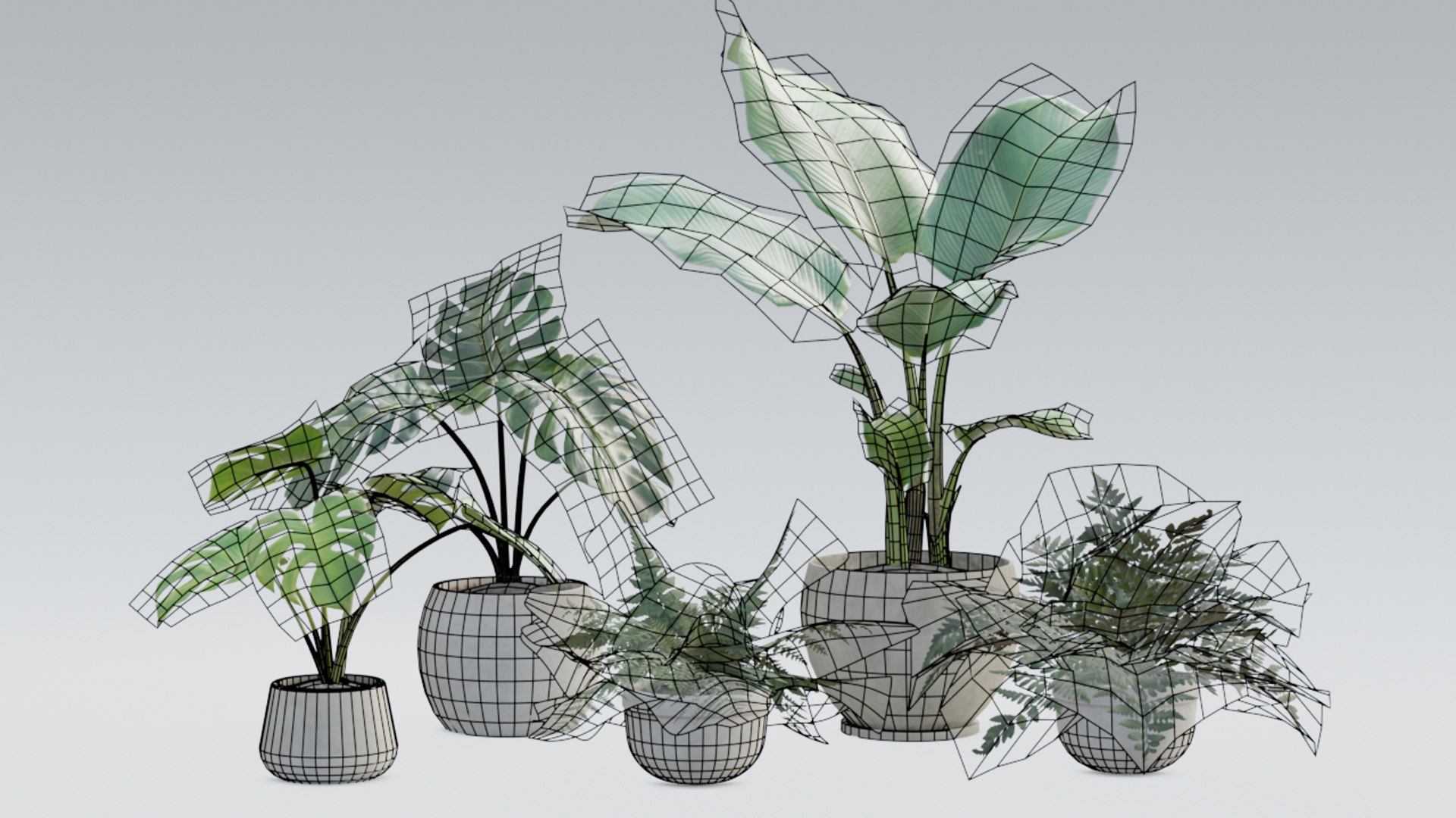 3D plant pack https://p.turbosquid.com/ts-thumb/Mo/uLA1E4/l0/wireframemulti_1080/jpg/1614043244/1920x1080/fit_q87/d07b1b625d66bd4357d261e2b3abfe5199e53726/wireframemulti_1080.jpg