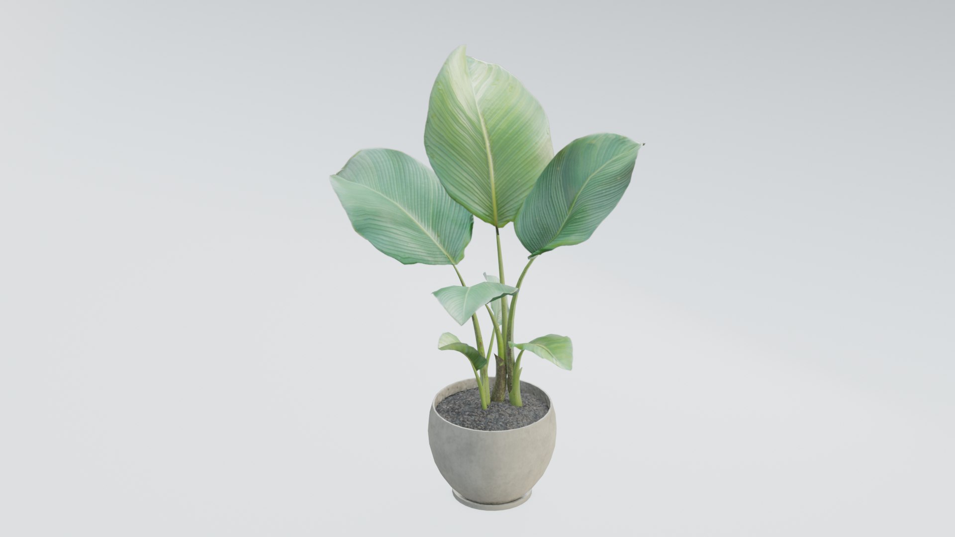 3D plant pack https://p.turbosquid.com/ts-thumb/Mo/uLA1E4/mx/0001/png/1614079827/1920x1080/fit_q87/0e1df853547938c48833c685445935879c43a79c/0001.jpg