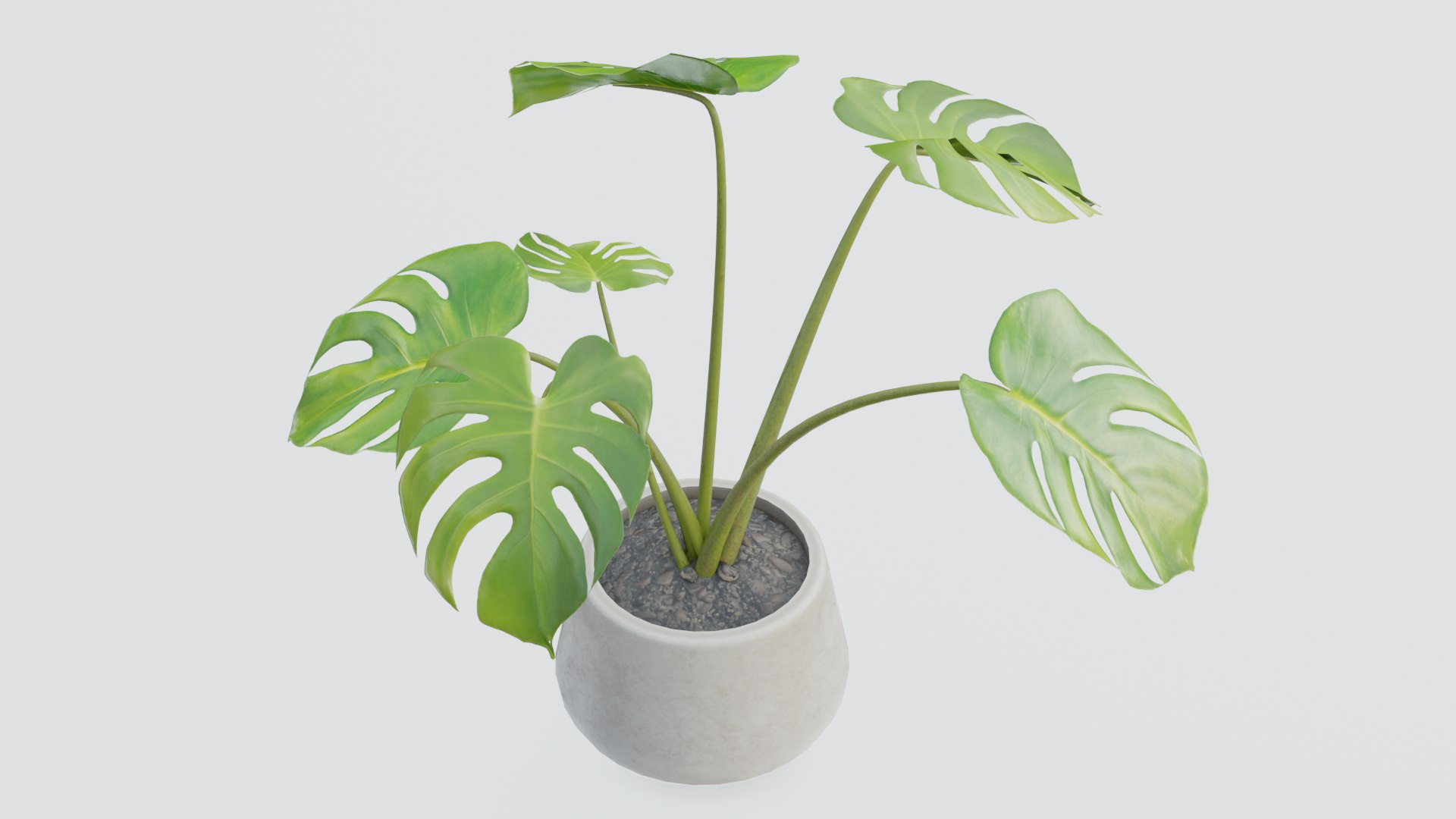 3D plant pack https://p.turbosquid.com/ts-thumb/Mo/uLA1E4/n2/0009/png/1614079817/1920x1080/fit_q87/4494fb1fe6997fae606ccc2568802f3bfe62129a/0009.jpg