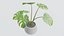 Pacote de Plantas 01