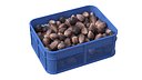 Salak Plastic Crate