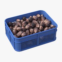 Salak Plastic Crate