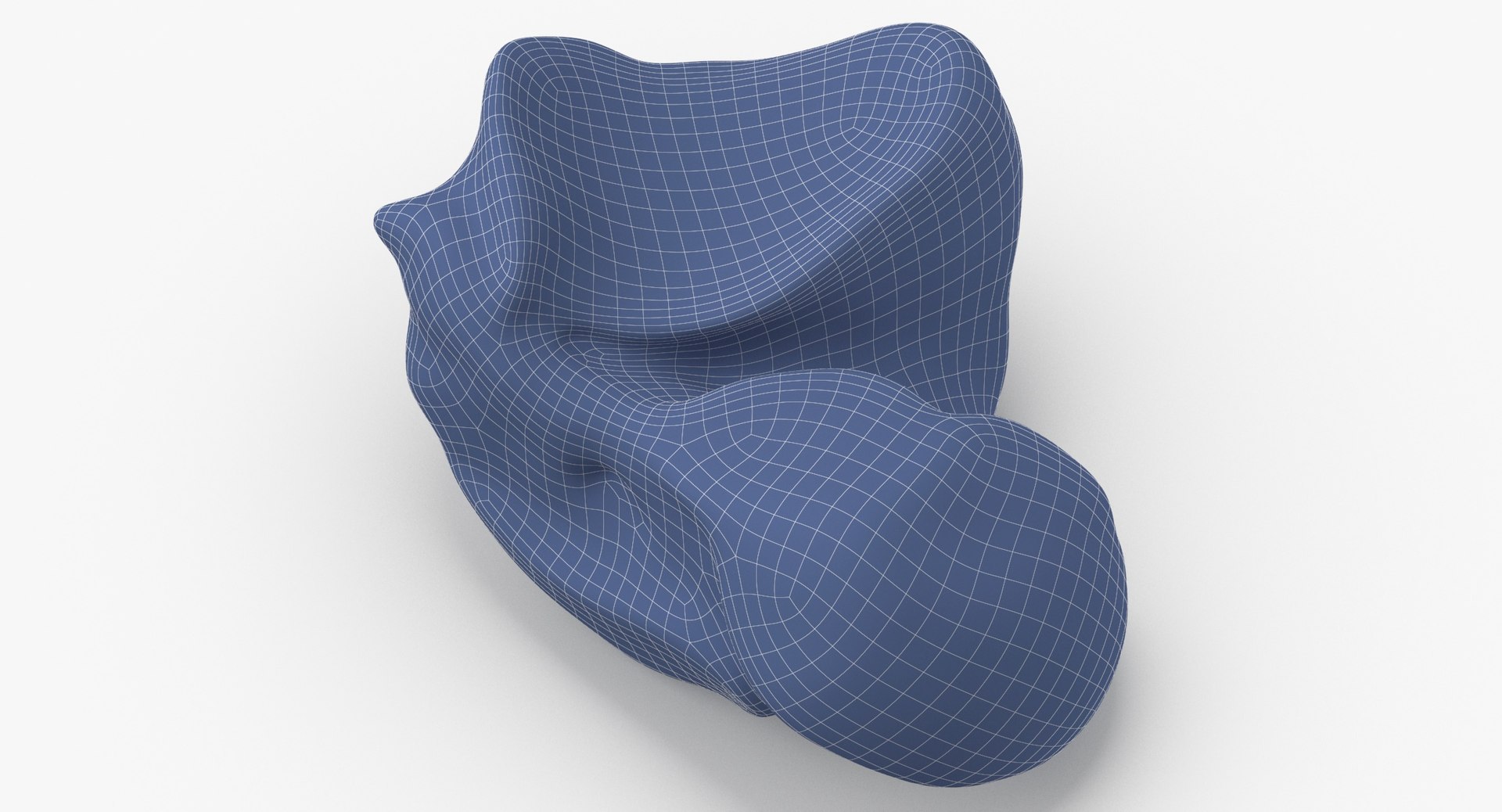 3D Real Talus Bone 01 - TurboSquid 1662405
