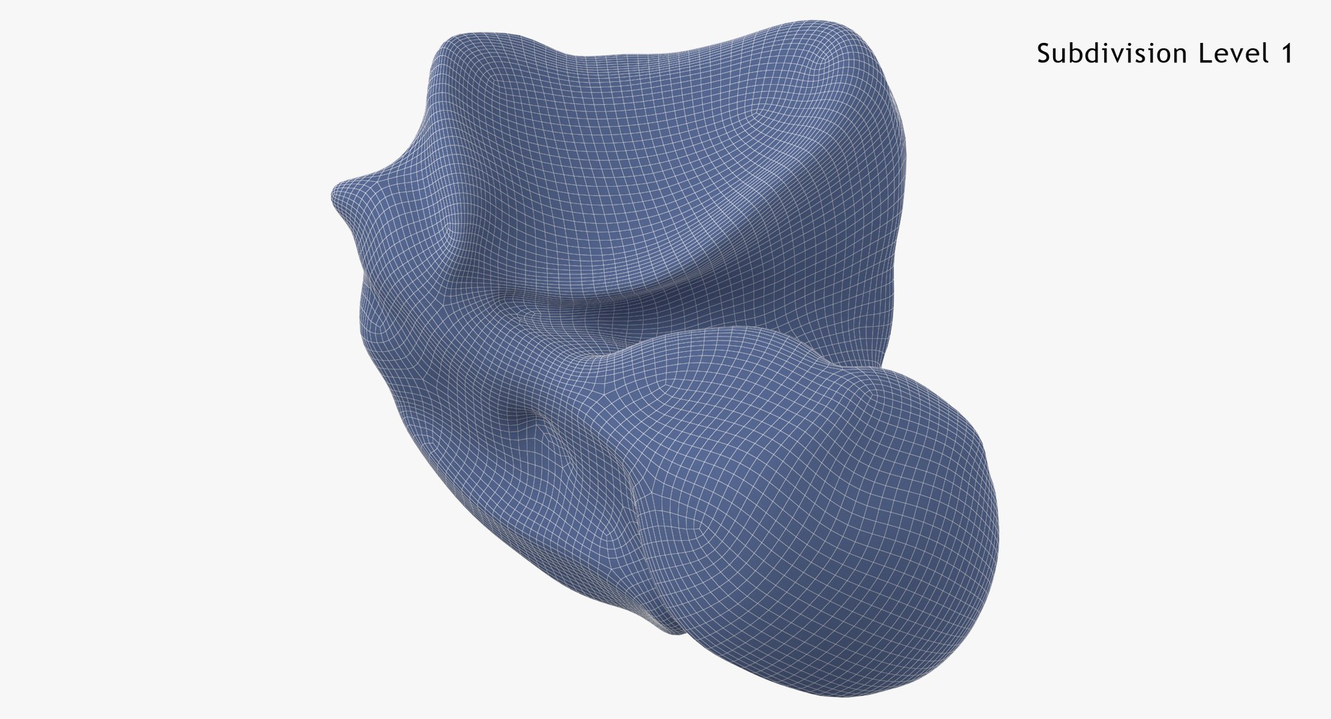 3D Real Talus Bone 01 - TurboSquid 1662405