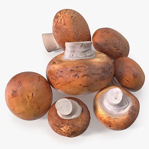 3D Heap of Brown Mushrooms