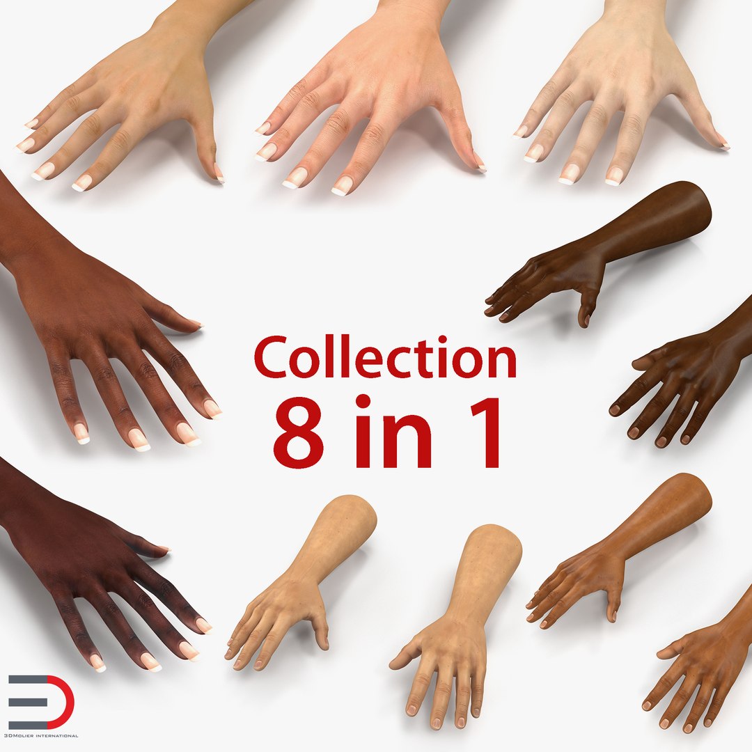 Hands 3D Models Collection 3D model preview