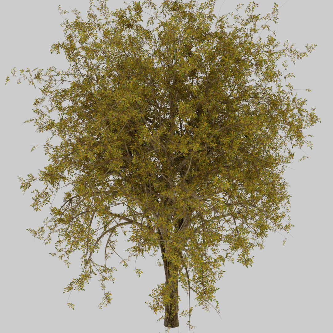 Blend tree. Blend tree