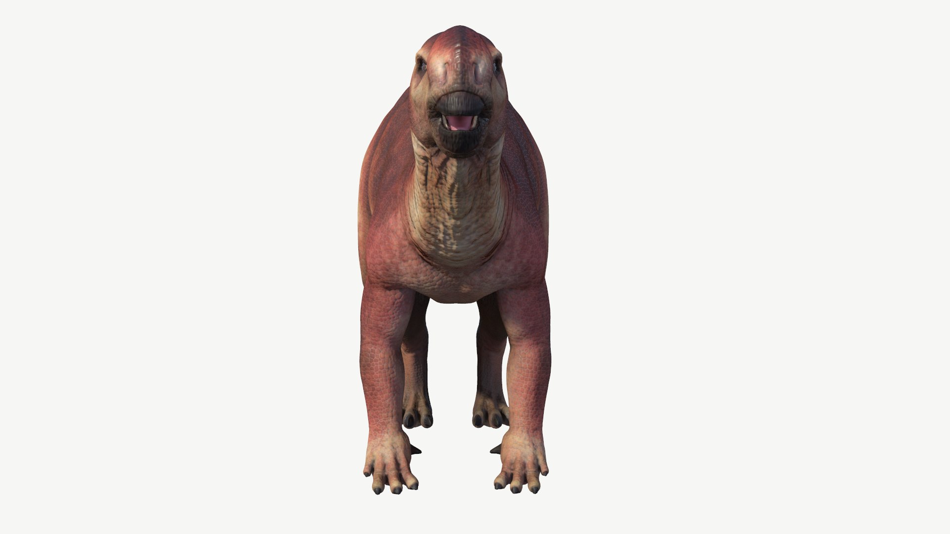 muttaburrasaurus 3D model https://p.turbosquid.com/ts-thumb/Mp/liAjDL/Im/5/png/1728454484/1920x1080/fit_q87/f59ffe5d324ee9072f72d618ff75eb42544ab0c2/5.jpg