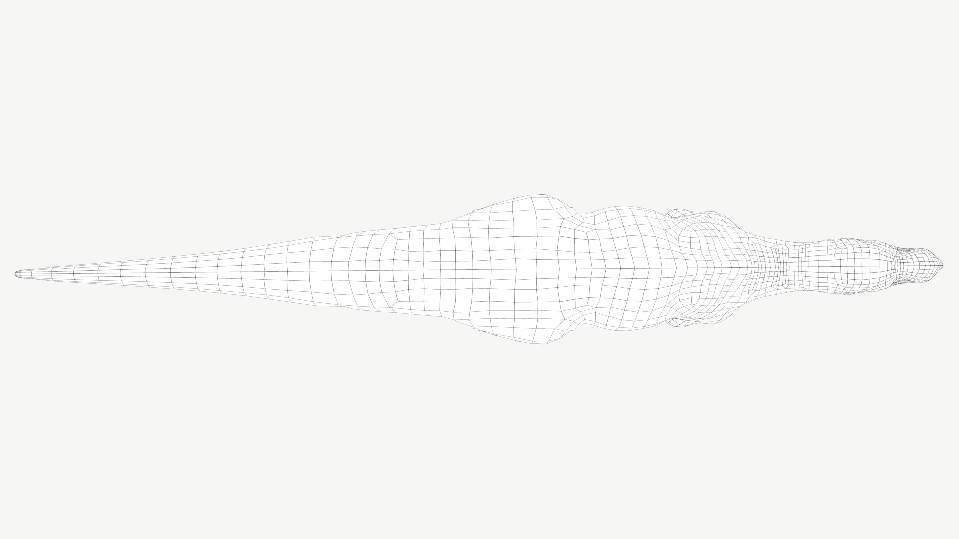 muttaburrasaurus 3D model https://p.turbosquid.com/ts-thumb/Mp/liAjDL/NH/4a/png/1728454484/1920x1080/fit_q87/d6fbf28412260ae495b5636b3eb4e73aa5dbb845/4a.jpg
