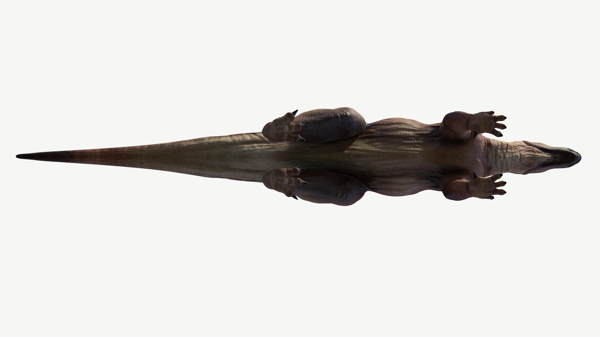 muttaburrasaurus 3D model https://p.turbosquid.com/ts-thumb/Mp/liAjDL/Qc/6/png/1728454485/1920x1080/fit_q87/58b24d4e96ccc6d64a483851ae166879f92d06a5/6.jpg
