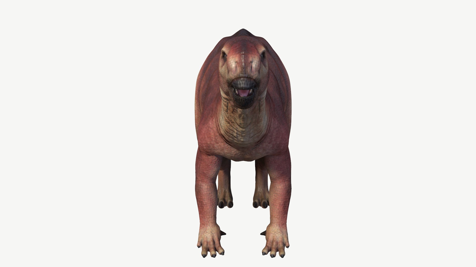 Muttaburrasaurus 3D Model - TurboSquid 1164480