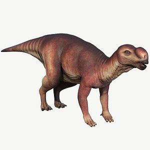 Muttaburrasaurus