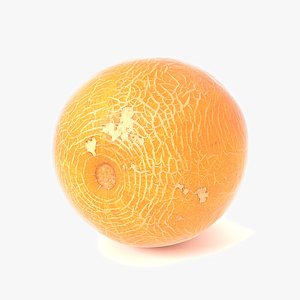 3D melon food fruit