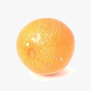 Melon