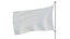 Polo Bandera Perú
