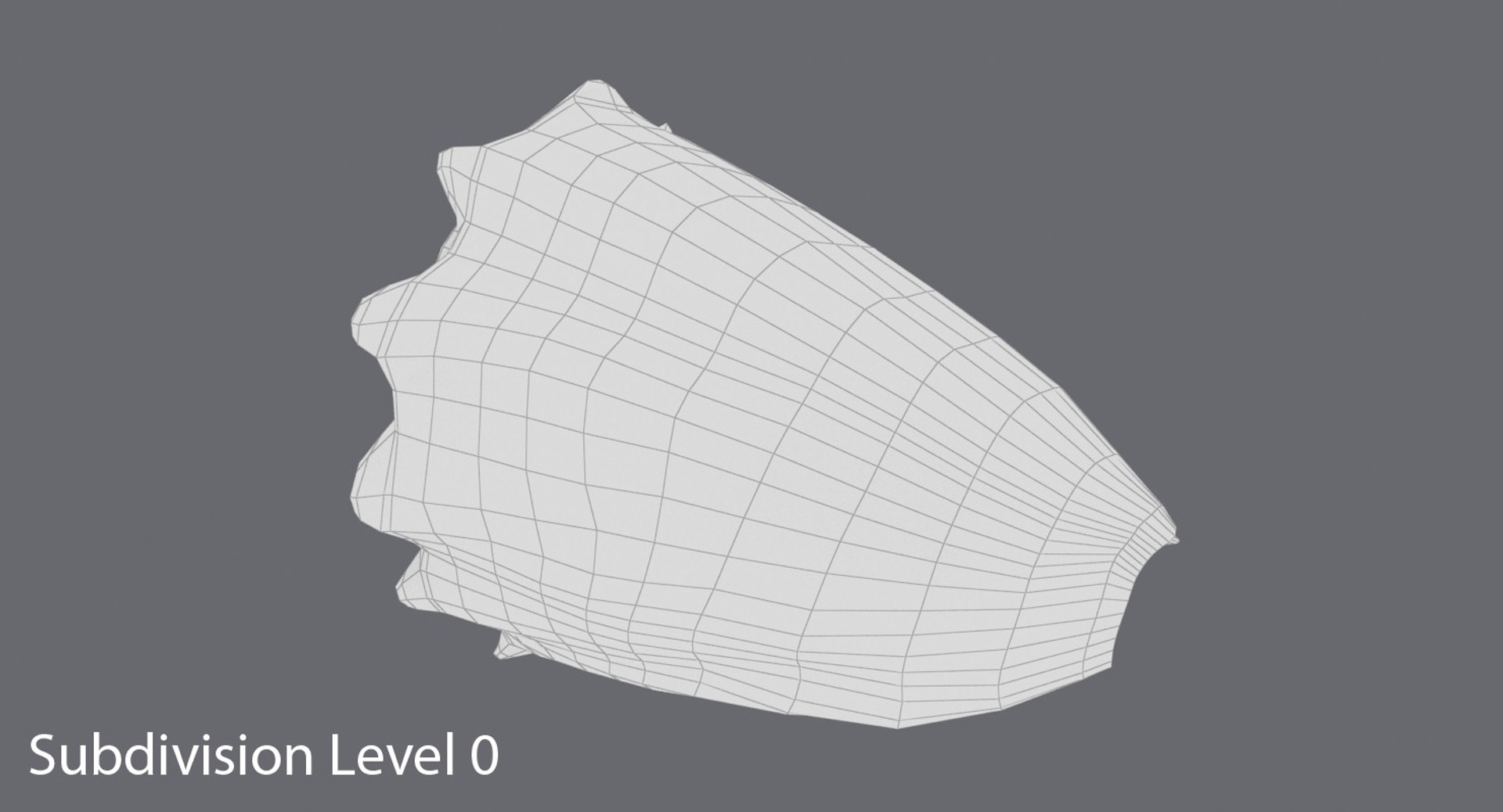 Conch-shells---shell-03 3D - TurboSquid 1155463