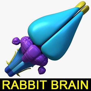 maya rabbit brain