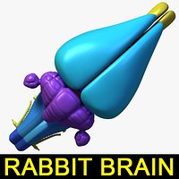 Rabbit Brain