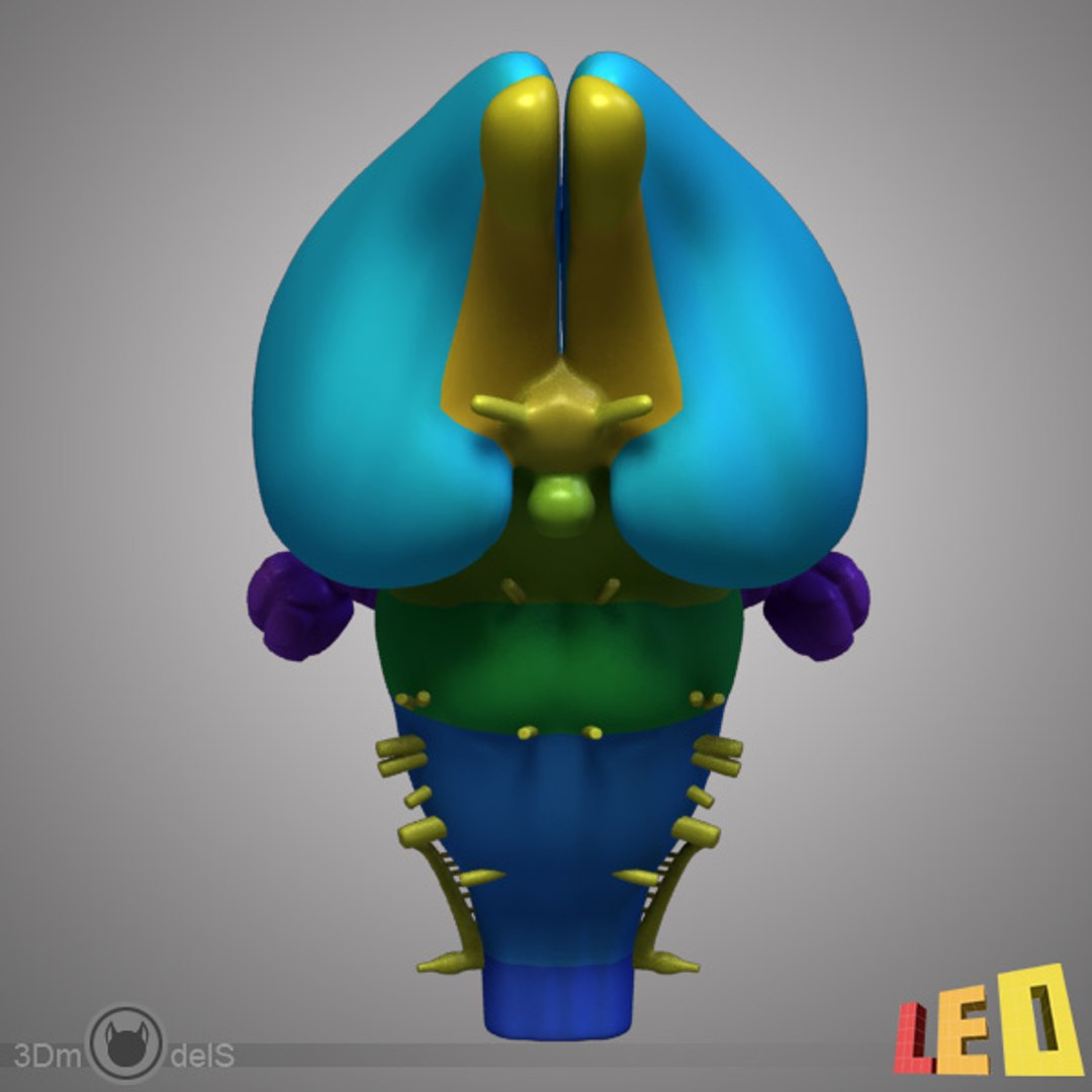 Maya Rabbit Brain