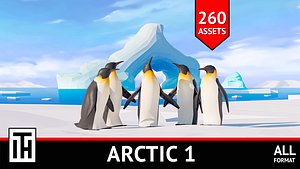 Arctic 1