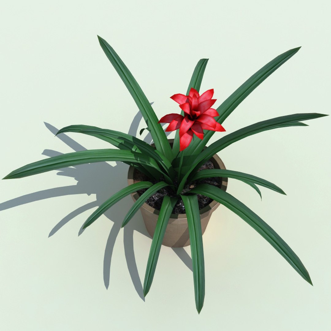 3ds max interior plants v5 https://p.turbosquid.com/ts-thumb/Mq/Sc6Dyy/DPPkqvus/interior_plants_collection_v5_54/jpg/1266357845/1920x1080/fit_q87/41ff5e3a8313f95ff2f6ff8f075b51651b9bbf5b/interior_plants_collection_v5_54.jpg