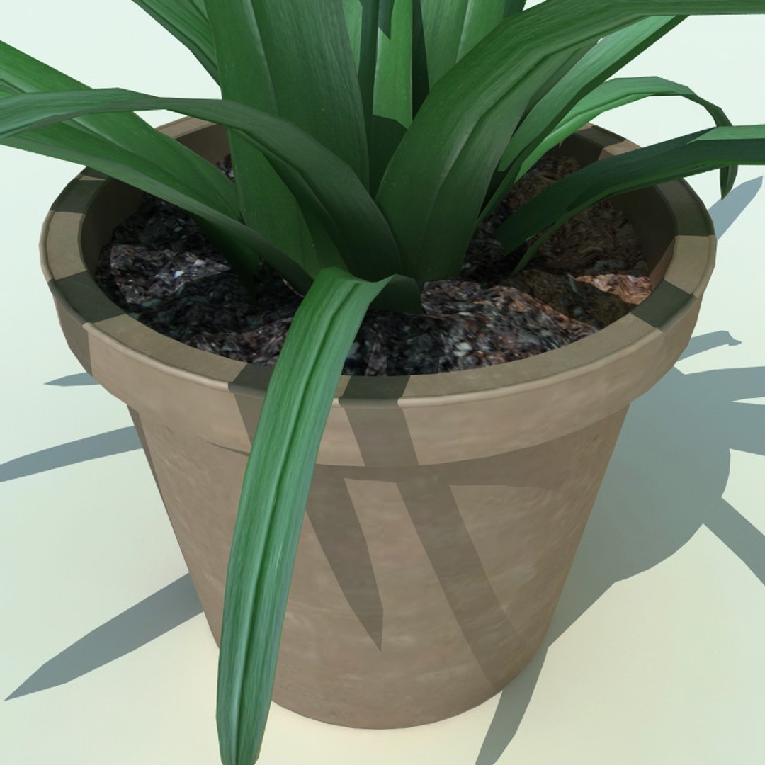 3ds max interior plants v5 https://p.turbosquid.com/ts-thumb/Mq/Sc6Dyy/S3bXYTSi/interior_plants_collection_v5_57/jpg/1266357845/1920x1080/fit_q87/e1af7a1ccc6c85056d1aae2bad40ca5bf8b7baf1/interior_plants_collection_v5_57.jpg